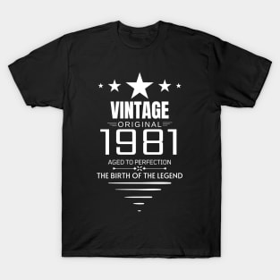 Vintage 1981 - Birthday Gift T-Shirt